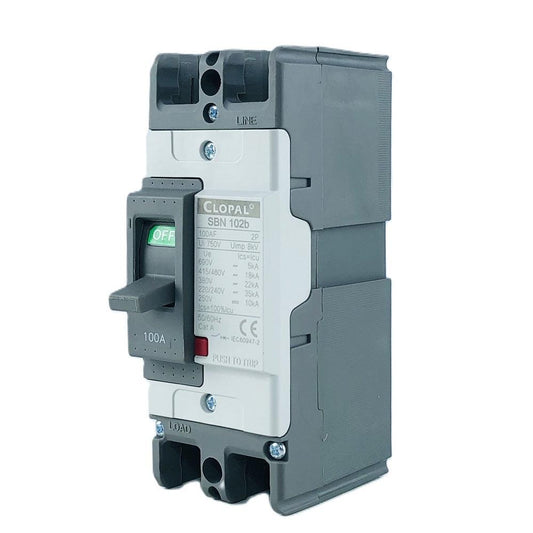 Clopal Heavy Duty 100Amp Double Pole Moulded Case Circuit Breaker