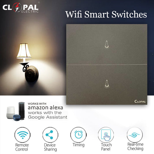 Clopal Platimium 2 Gang Smart Touch WIFI Switches, Mobile Control, Voice Control Compatible with ALEXA, Google Assistant and IFTTT