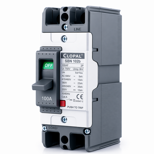 Clopal Heavy Duty 100Amp Double Pole Moulded Case Circuit Breaker